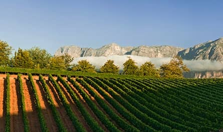 delaire graff estate